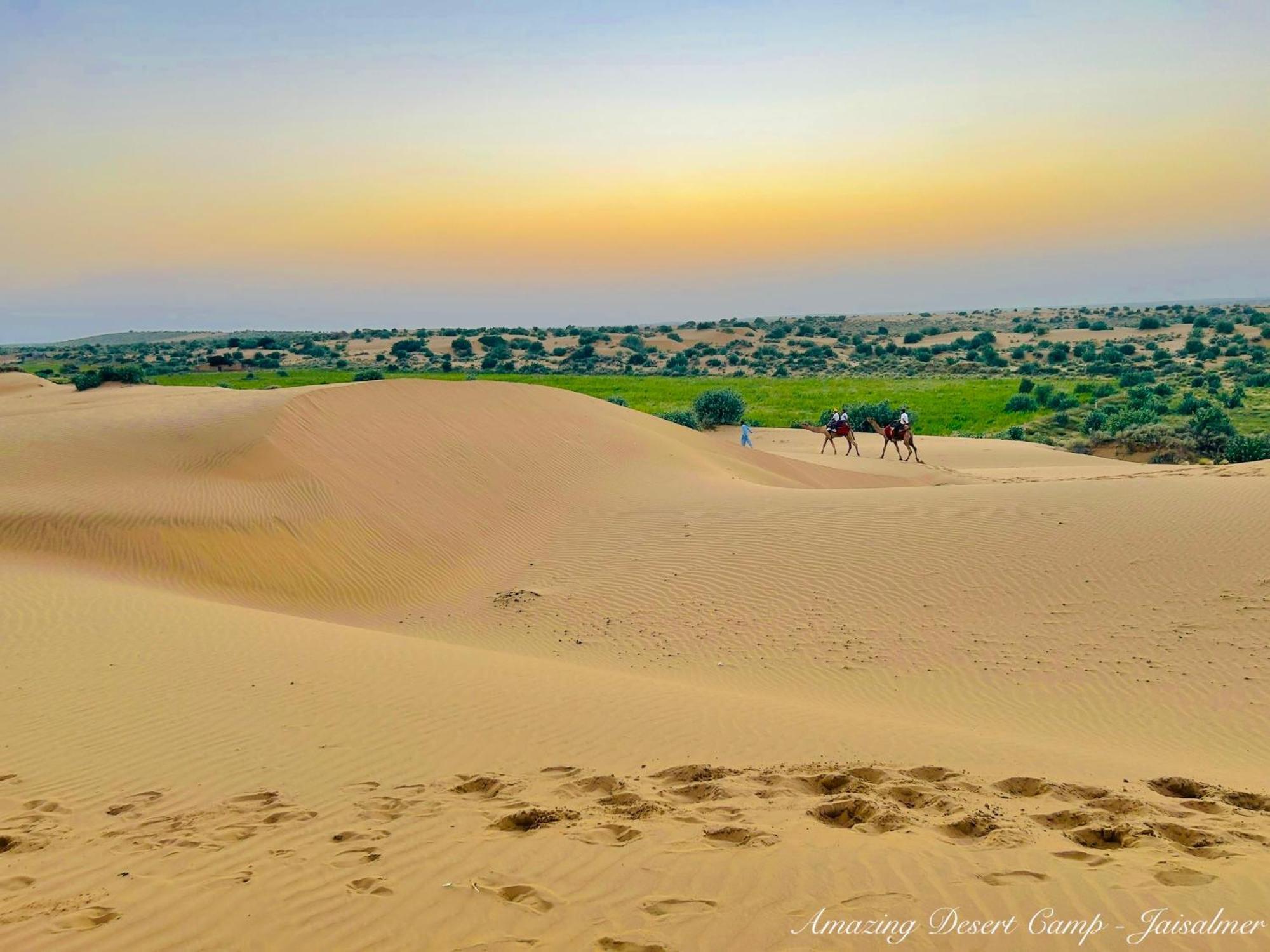 Amazing Desert Camp Jaisalmer Luaran gambar